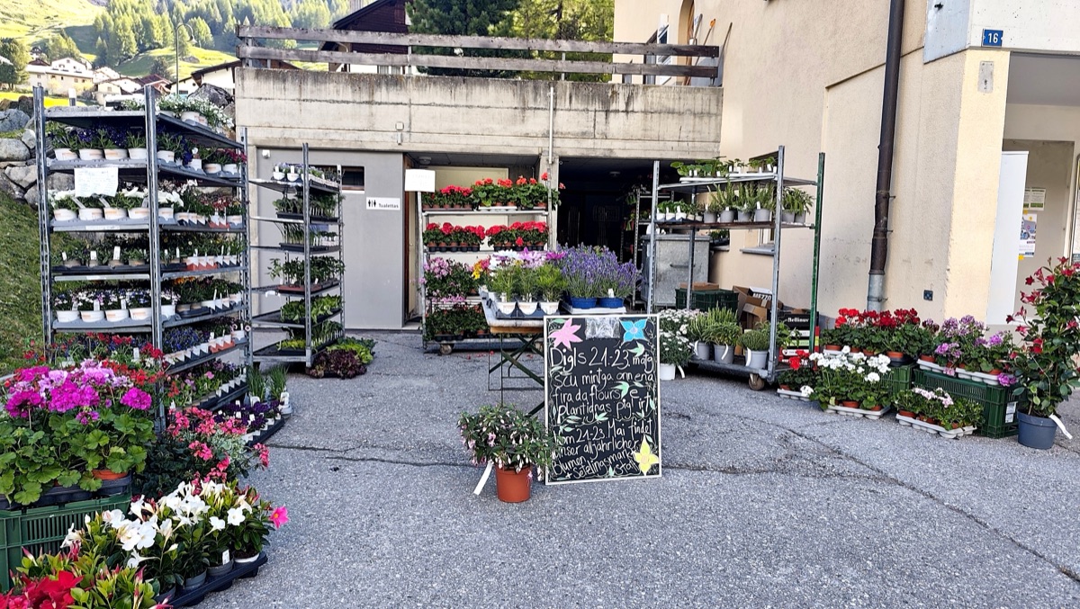 Blumen- und Pflanzenmarkt vor dem Laden